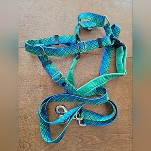 Green and Blue Dog Harness and Leash Set